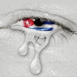 Meet your Posher, Lazara